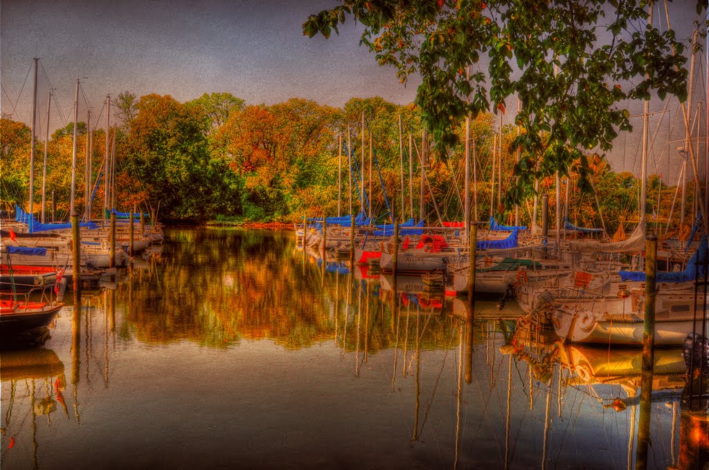 Washington Sailing Marina by Oscar Gonzales V.