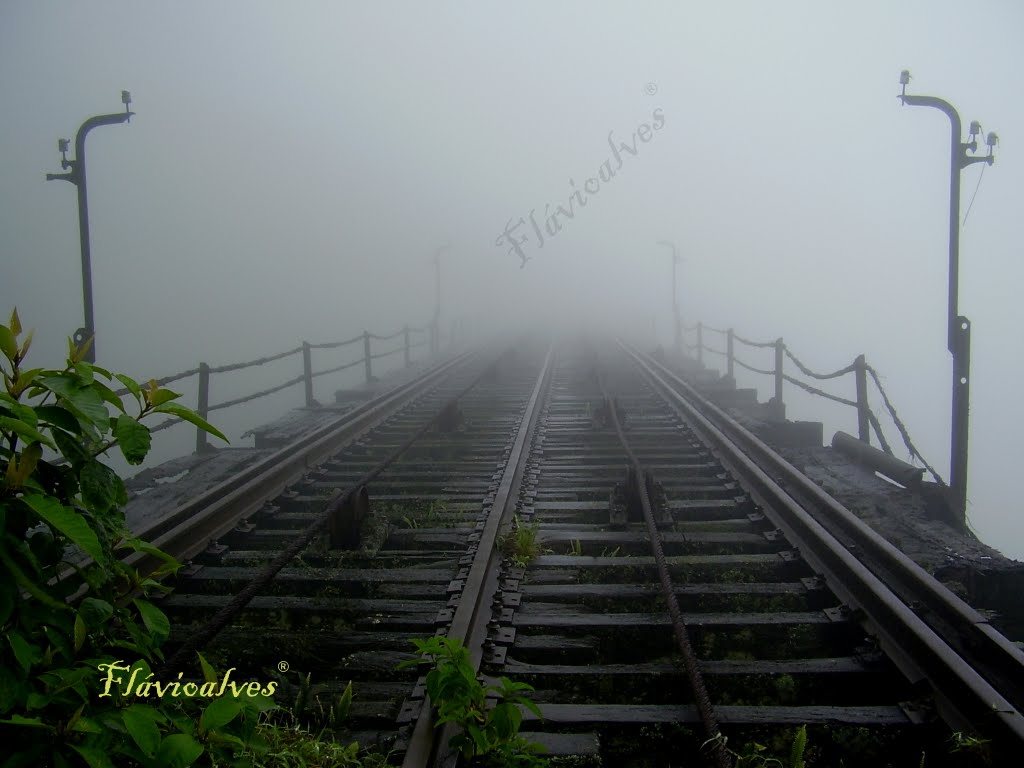 Ponte da Funicular by Frávio23