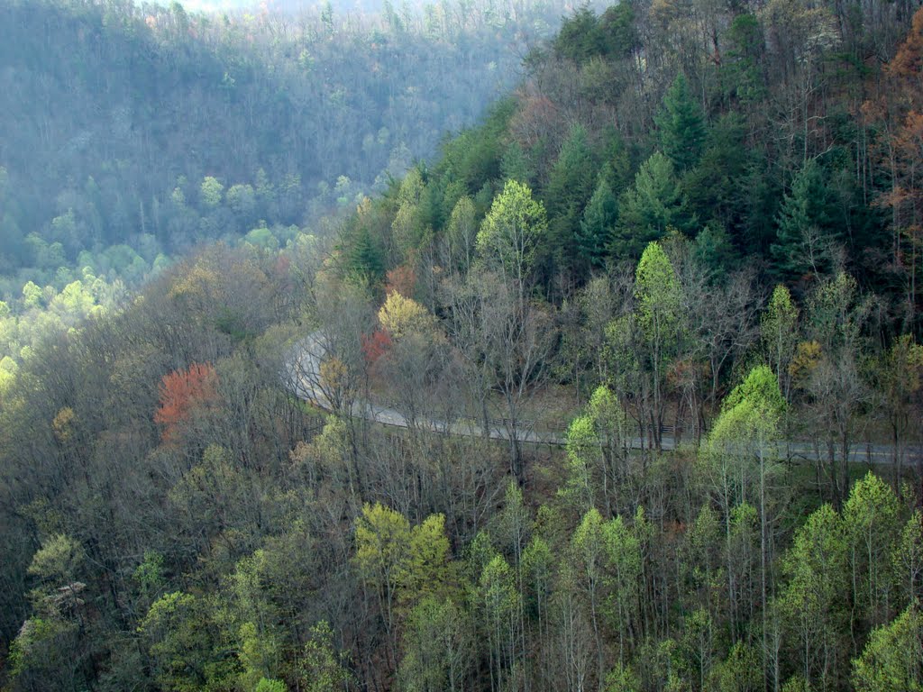 DSC06030 View from Aerial Tram by Volkan YUKSEL