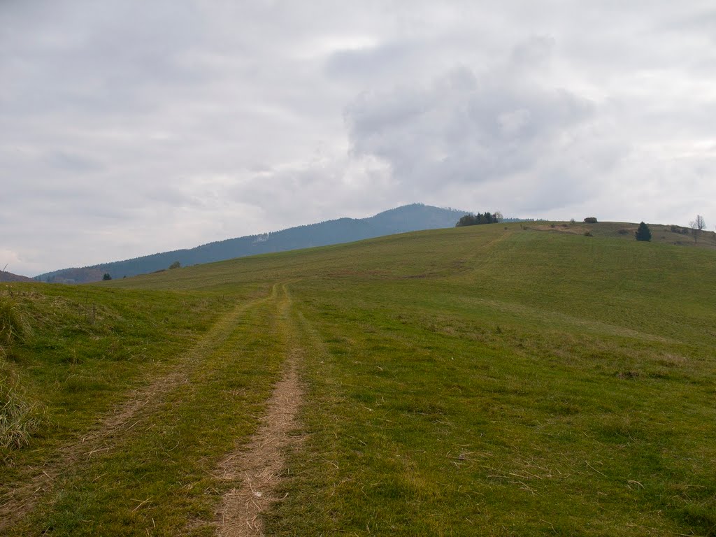 Brezno, Slovakia by Pavol Gombos