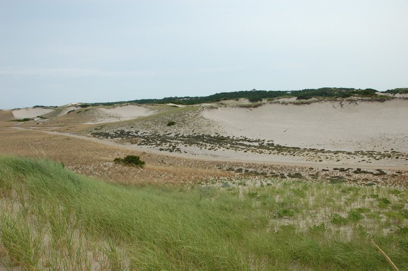 Racepoint Dunes by porto62