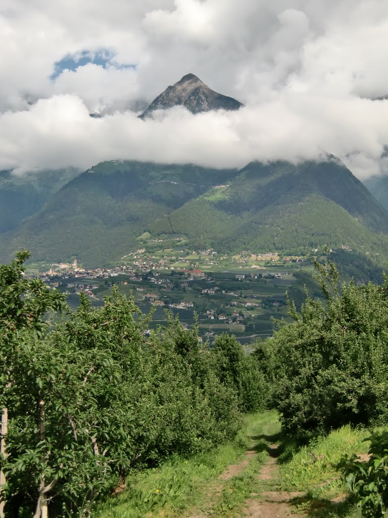 Muthspitz bei meran by bilderali