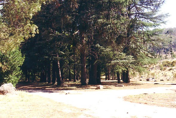 The Oaks bush camp by Peter WHITEHEAD