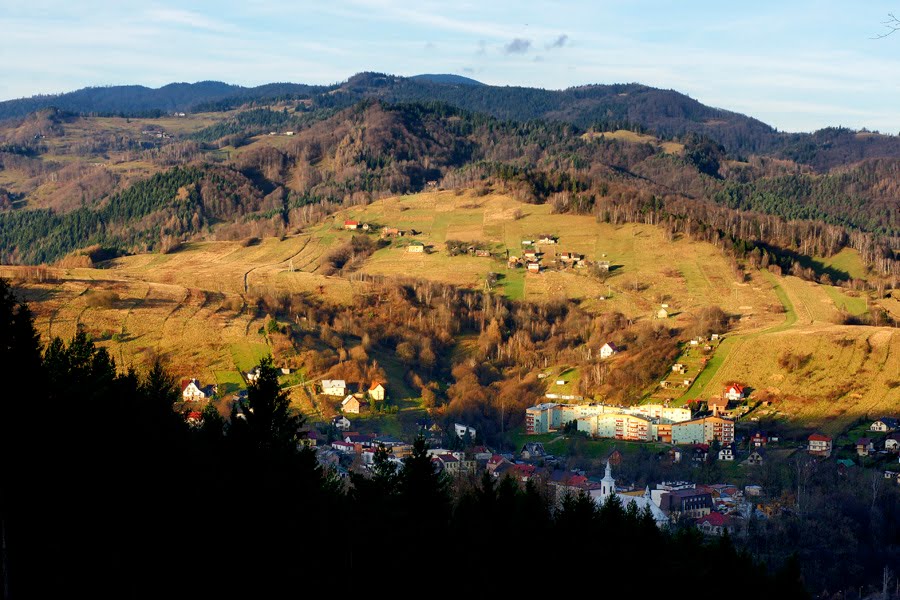 Piwniczna Zdrój-widok na osiedle Bziniaki by tadeusz dziedzina©