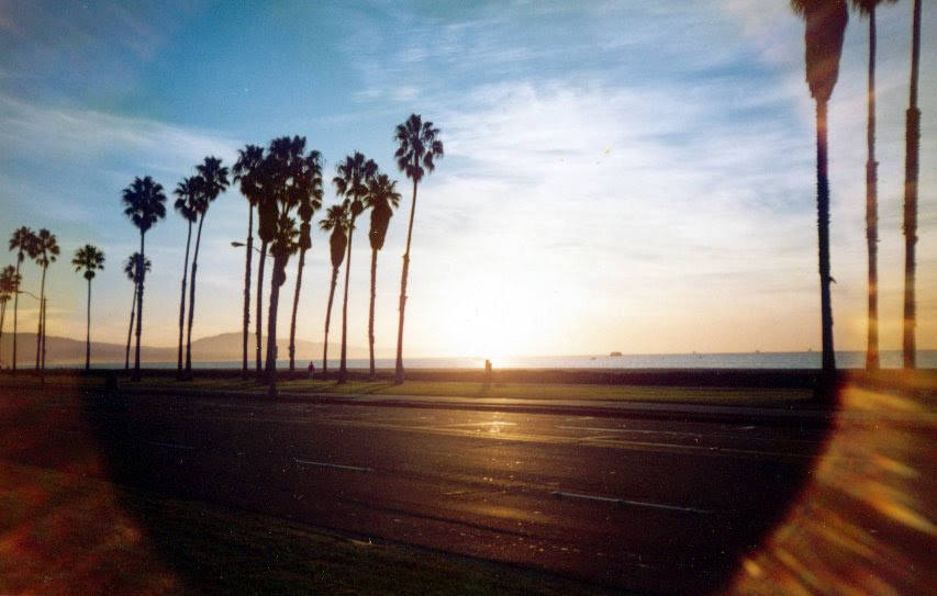 Usa California : Santa Barbara's beach : Pacific ocean by tinawaldo