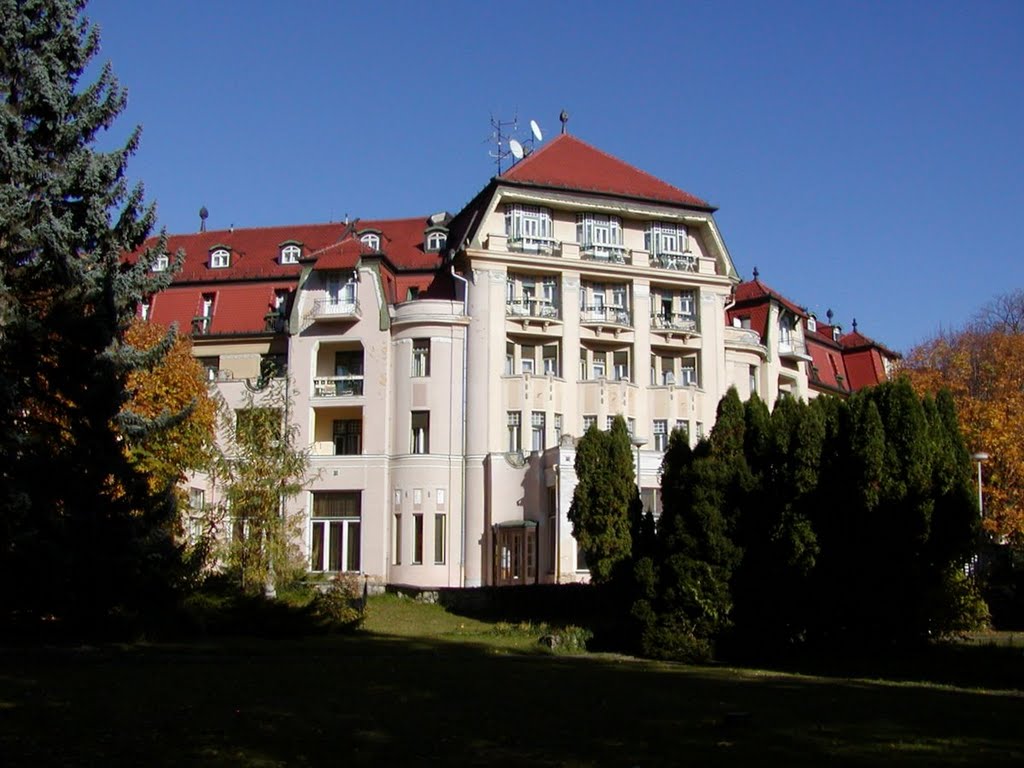 Thermia Palace, Piešťany by Martin Hlauka