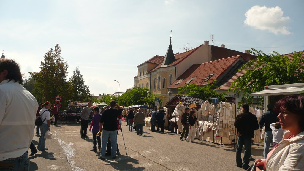 Modra, Vinobranie 2010 by simonarolnikova