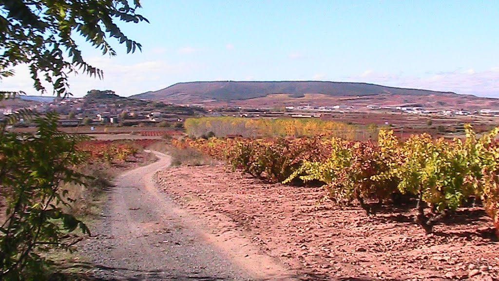 Viñas de Noviembre by emarblanc