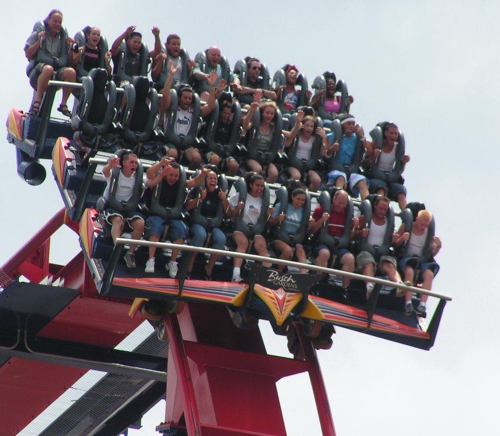 Roller Coaster in Busch Gardens, Tampa, Florida by TeddyBare