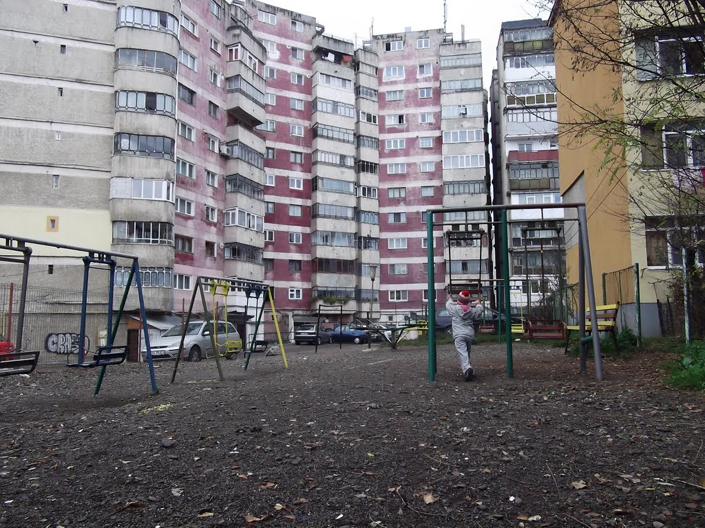 George Enescu, Suceava, Romania by emanuel regus