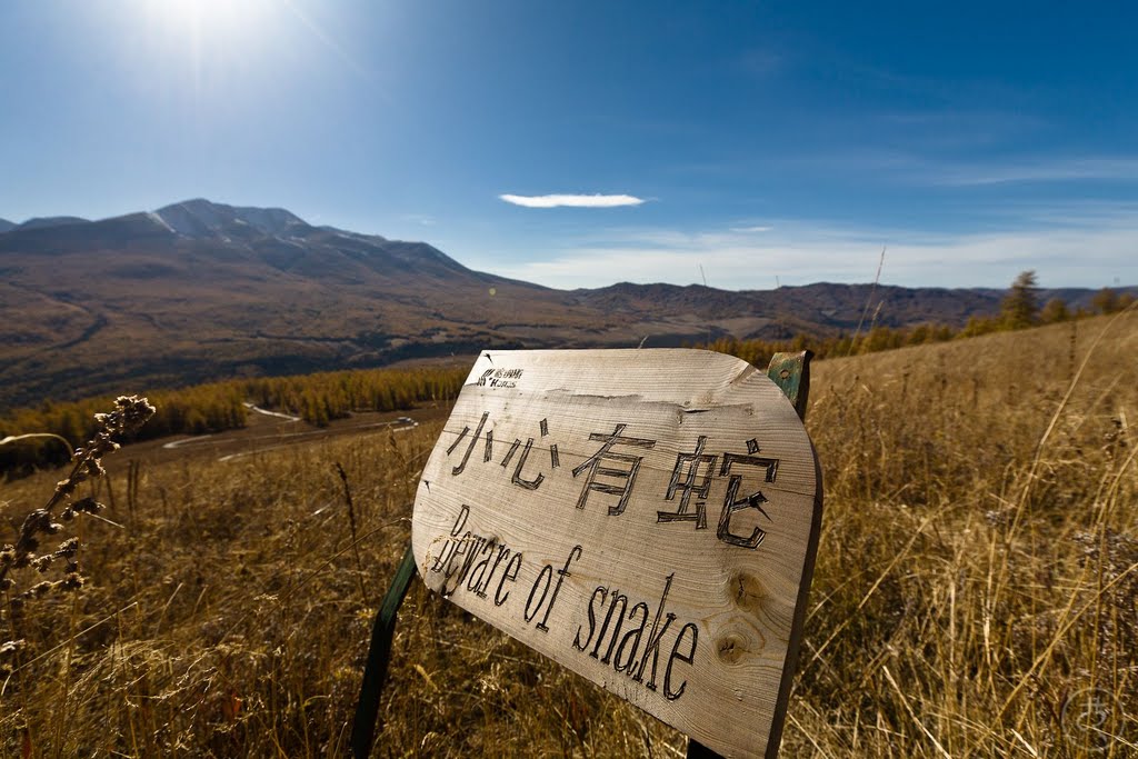 Burqin, Altay, Xinjiang, China by The Longest Way