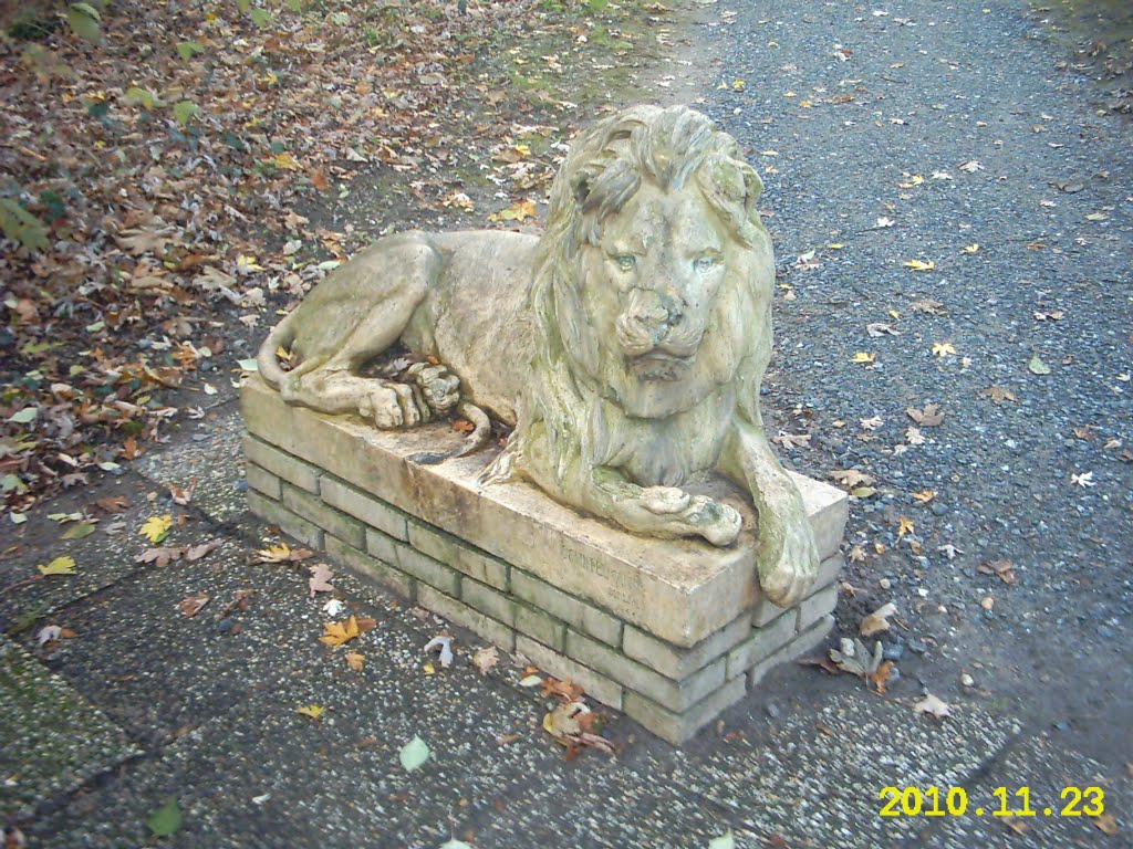 Steinlöwe im Schwingbodenpark by daydogwalker