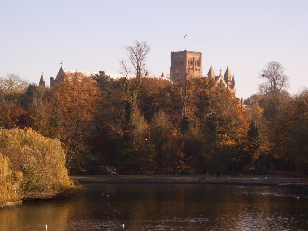 St. Albans Abbey from Verulamium by Peter Tims