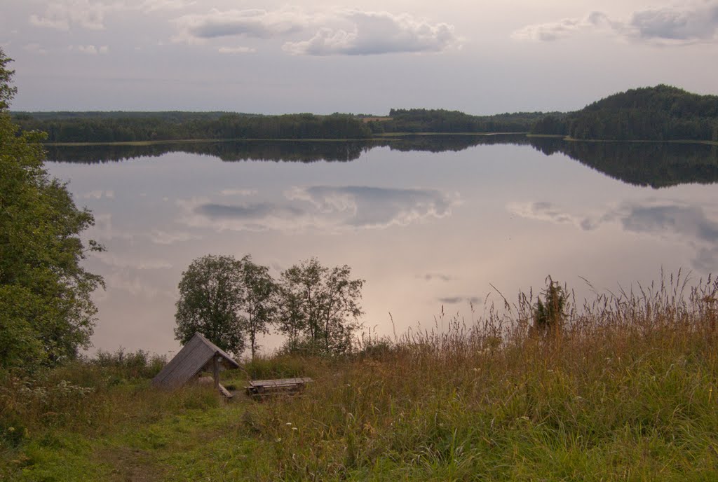 Kargopolsky District, Arkhangelsk Oblast, Russia by PAA47