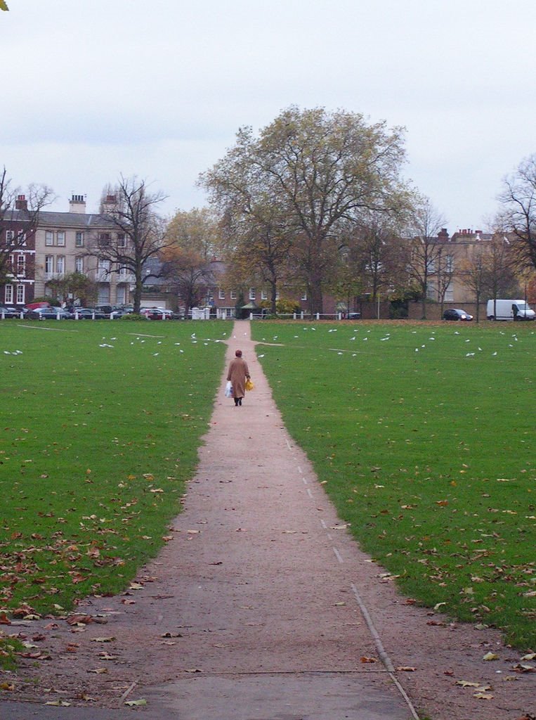 Crossing Richmond Green, London, England by TeddyBare