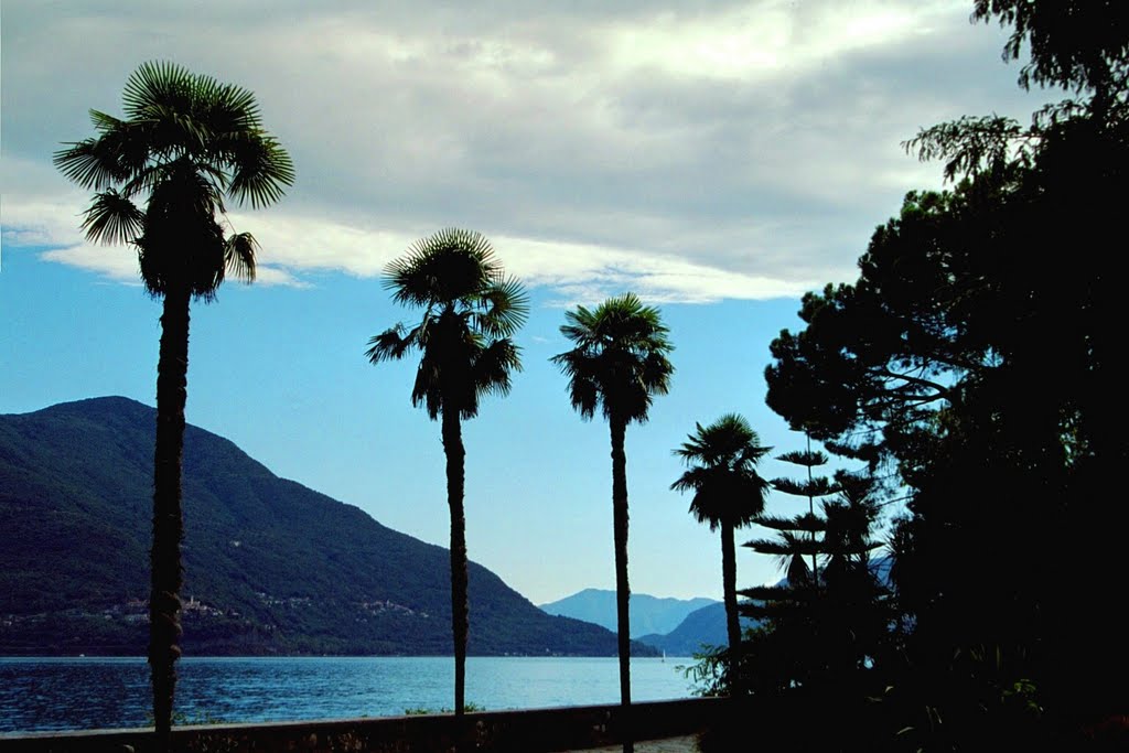 Promenade in Ascona by GerdHufnagel