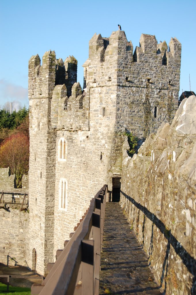 Swords Castle by Poppy