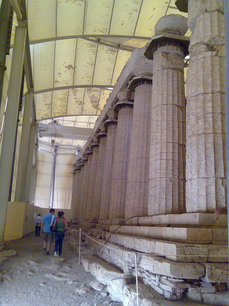 Epikourios Apollon temple by Dimitrios Doumas