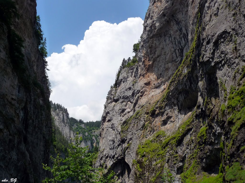 Триградското ждрело_Trigradsko gorge _BG by Nikolai Vitanov