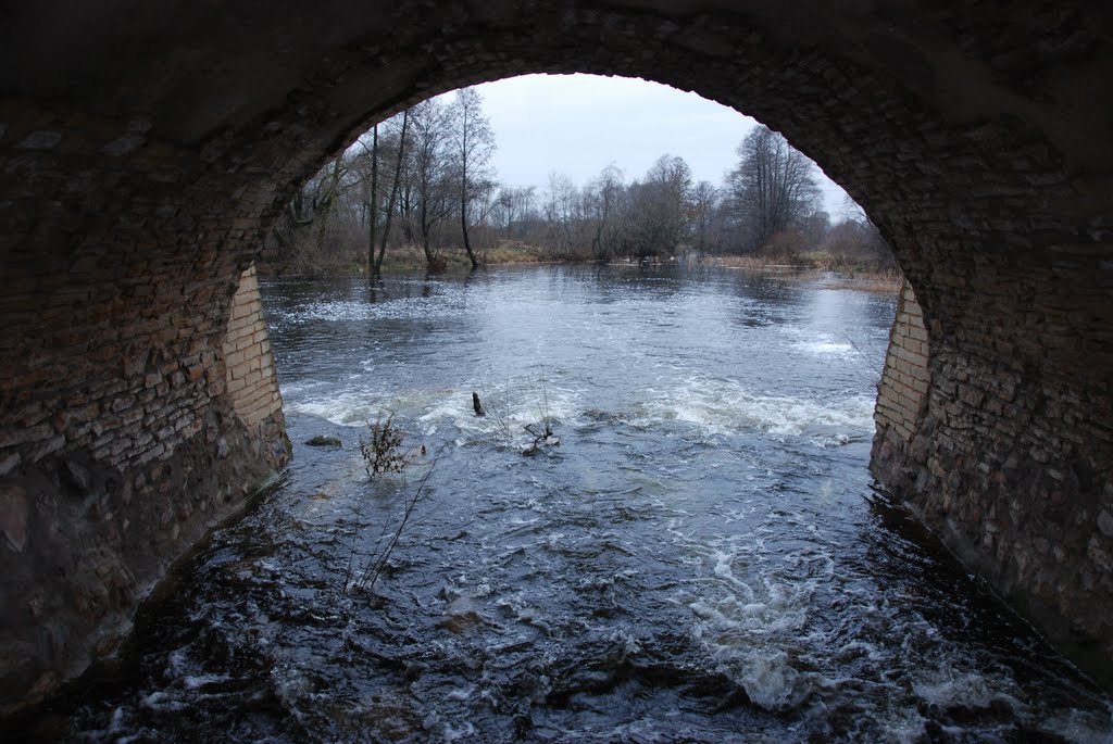 Pakruojis manor's old bridge by Renatorius (Reno)