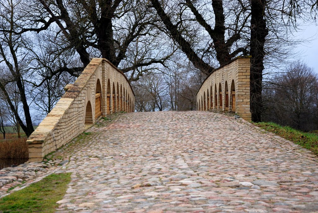 Pakruojis manor's old bridge by Renatorius (Reno)