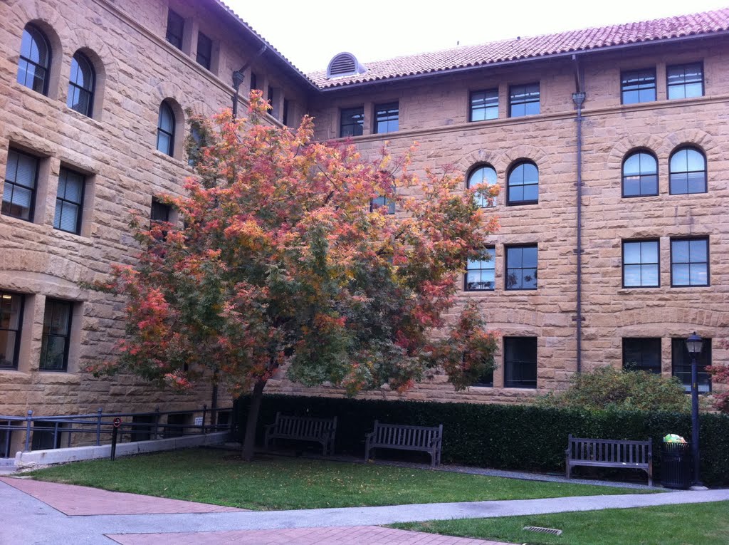 Encina Hall by Michael P