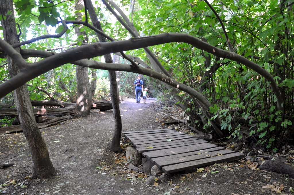 Hiking in Israel by perspectivus