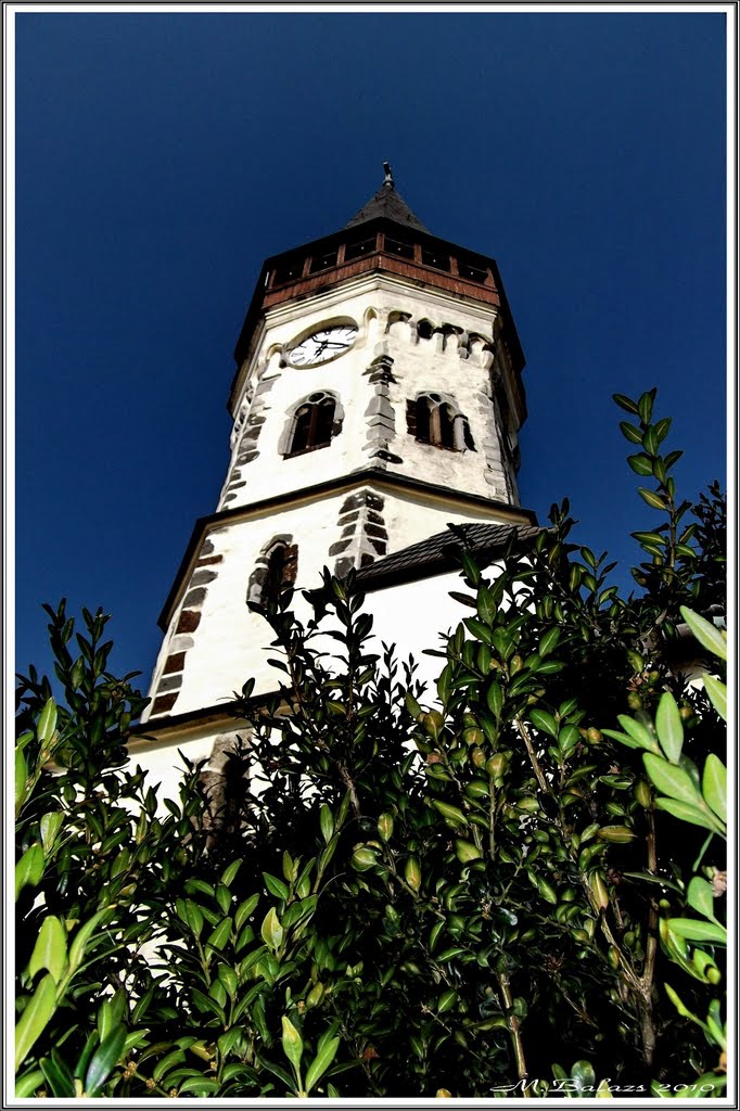 Fatornác magas toronysüveggel, Gyöngyöspata - Wooden porch tower cap in hand, Gyöngyöspata by - - - M.Balázs - - -