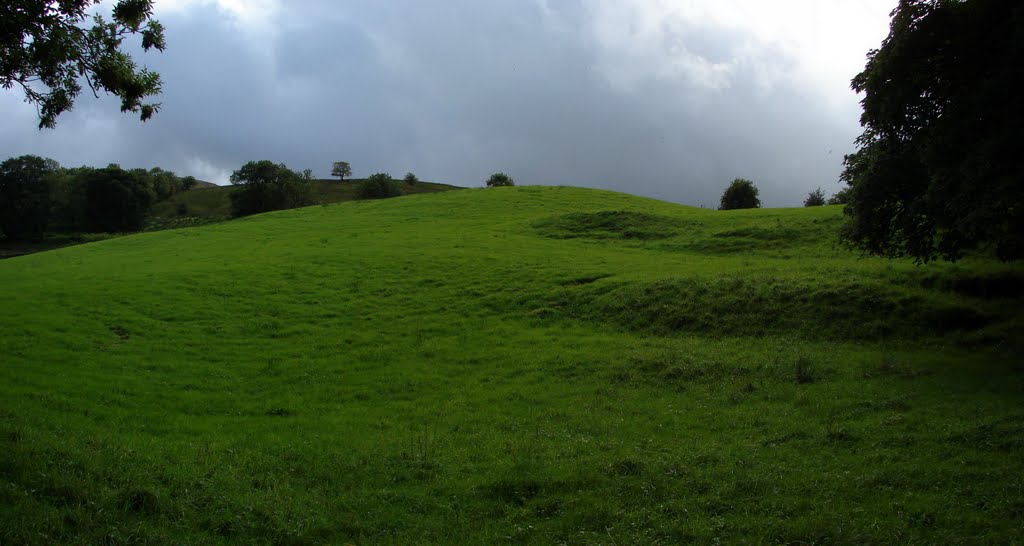 Yorkshire by constantin jurcut