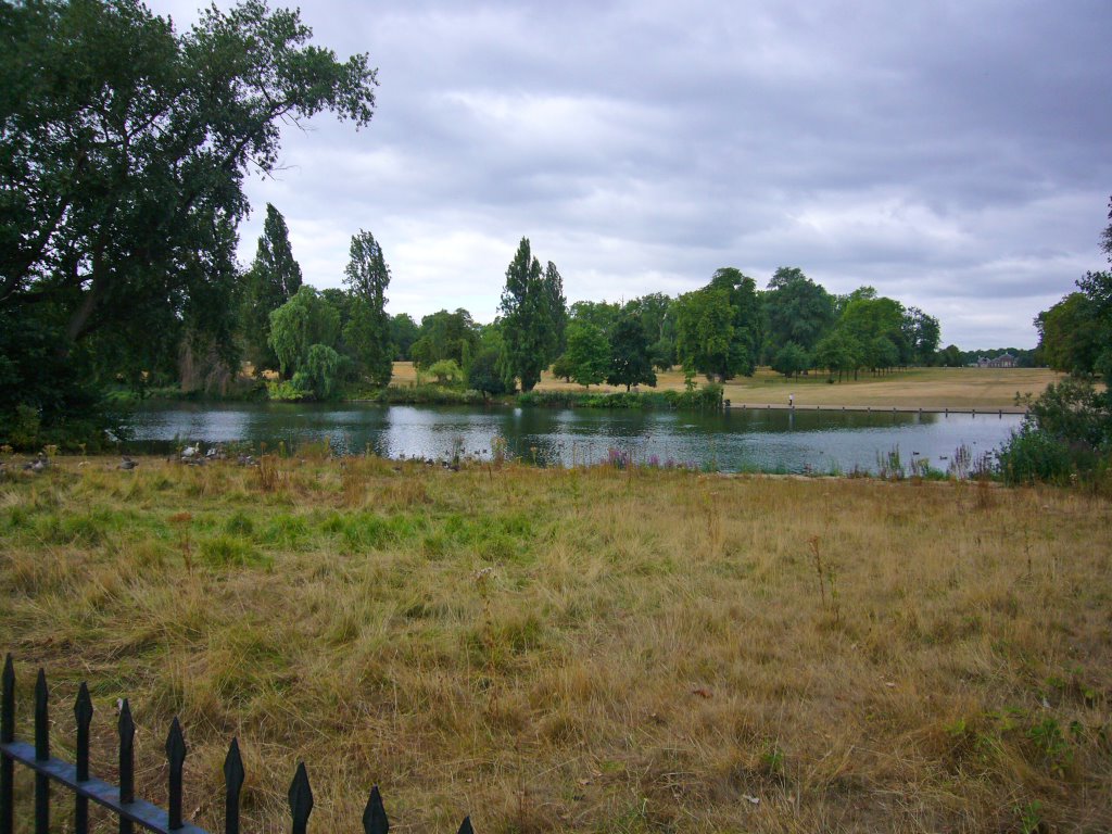 Naturaleza Salvaje en Hyde Park by JesusVillalba