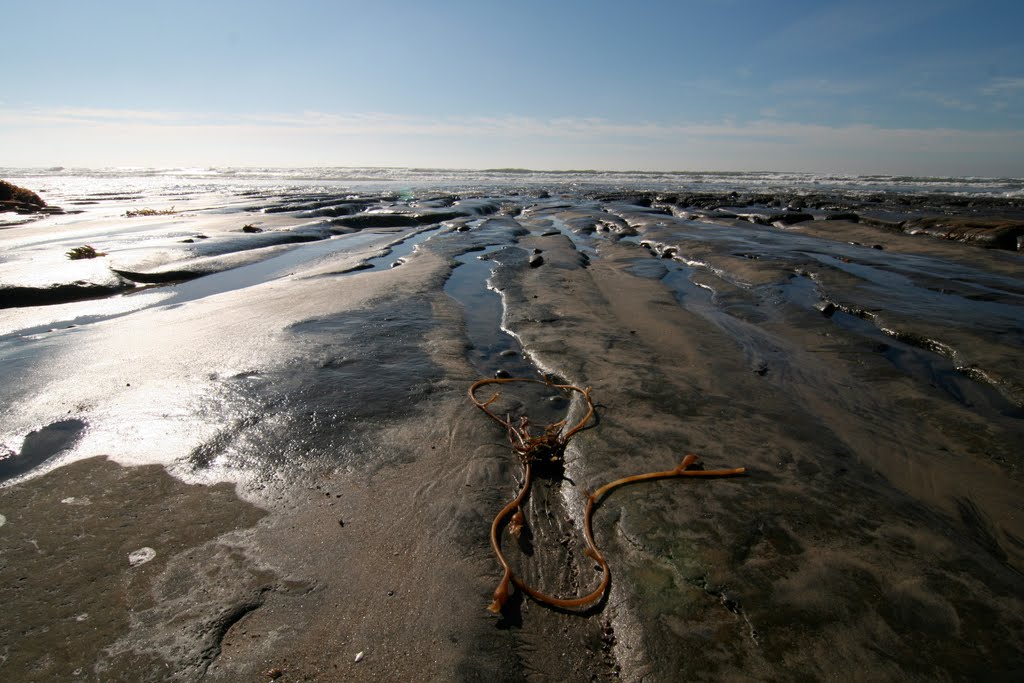 Encinitas, CA, USA by beachfrontonly