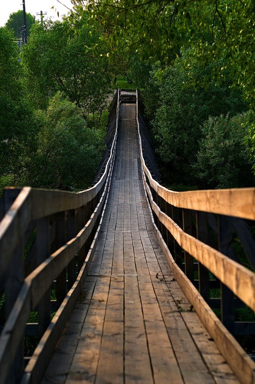 Suspension bridge by Constantin Voutsen