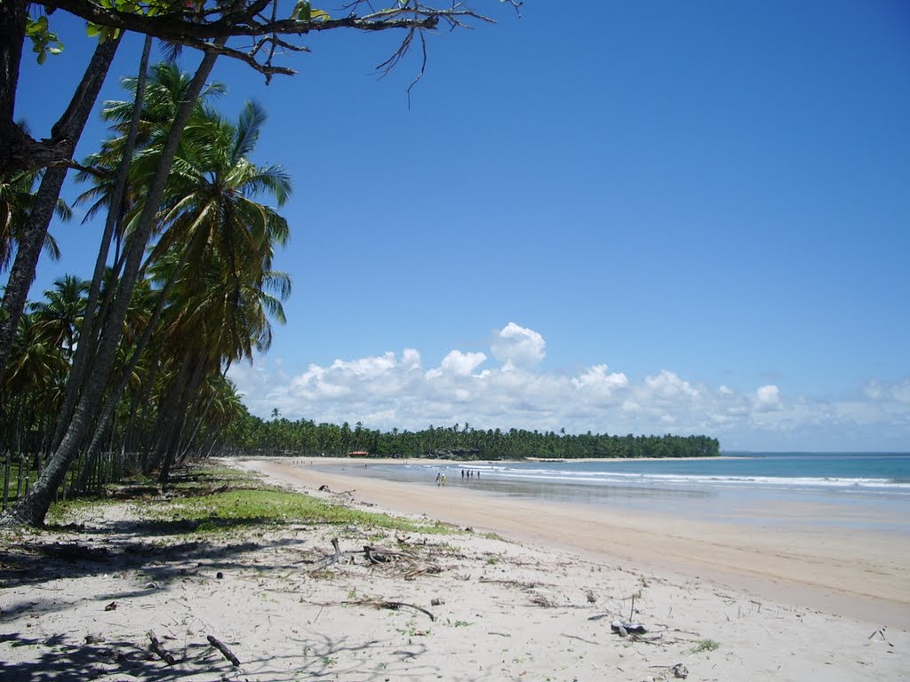 Praia da Cueira. Boipeba, BA by João Carlos Machado