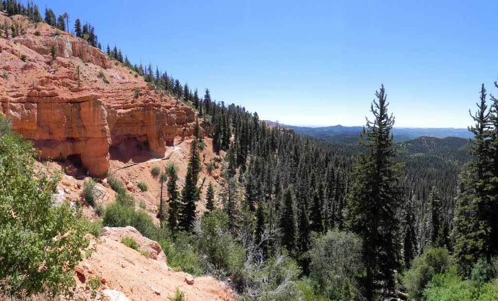 The trail to Cascade Falls below Navajo Lake, Utah by John Roberts