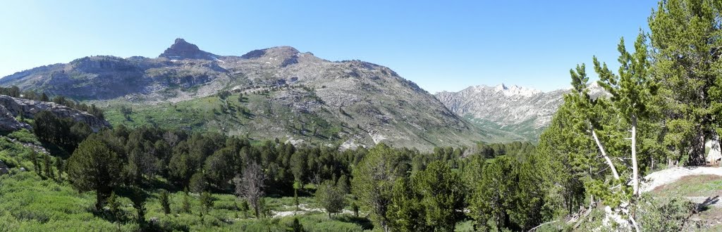 Below Dollar Lake, Ruby Mountains by John Roberts