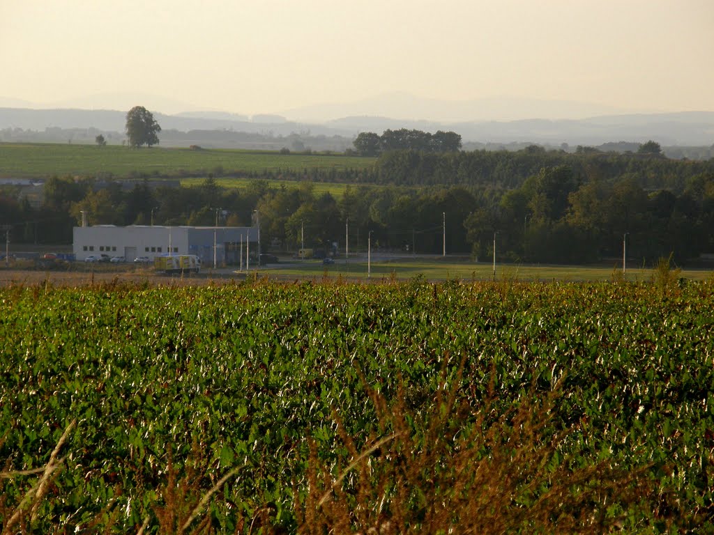 Podzim za Opavou, 3 (Autumn around Opava) by MAPP HUDRANS