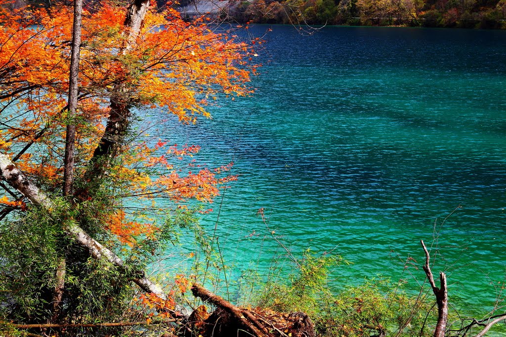 Jiuzhaigou, Aba, Sichuan, China by zhouxin