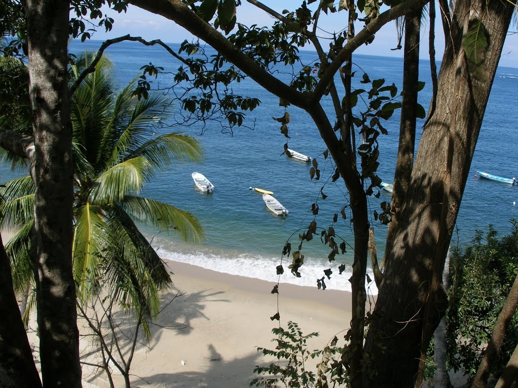 Yalapa Bay, Isla Yalapa, Mexico by STEPHANIE SARNOFF