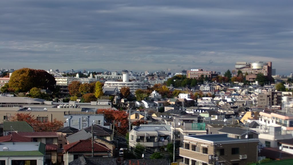 View over Nakano by Alexandre Montin