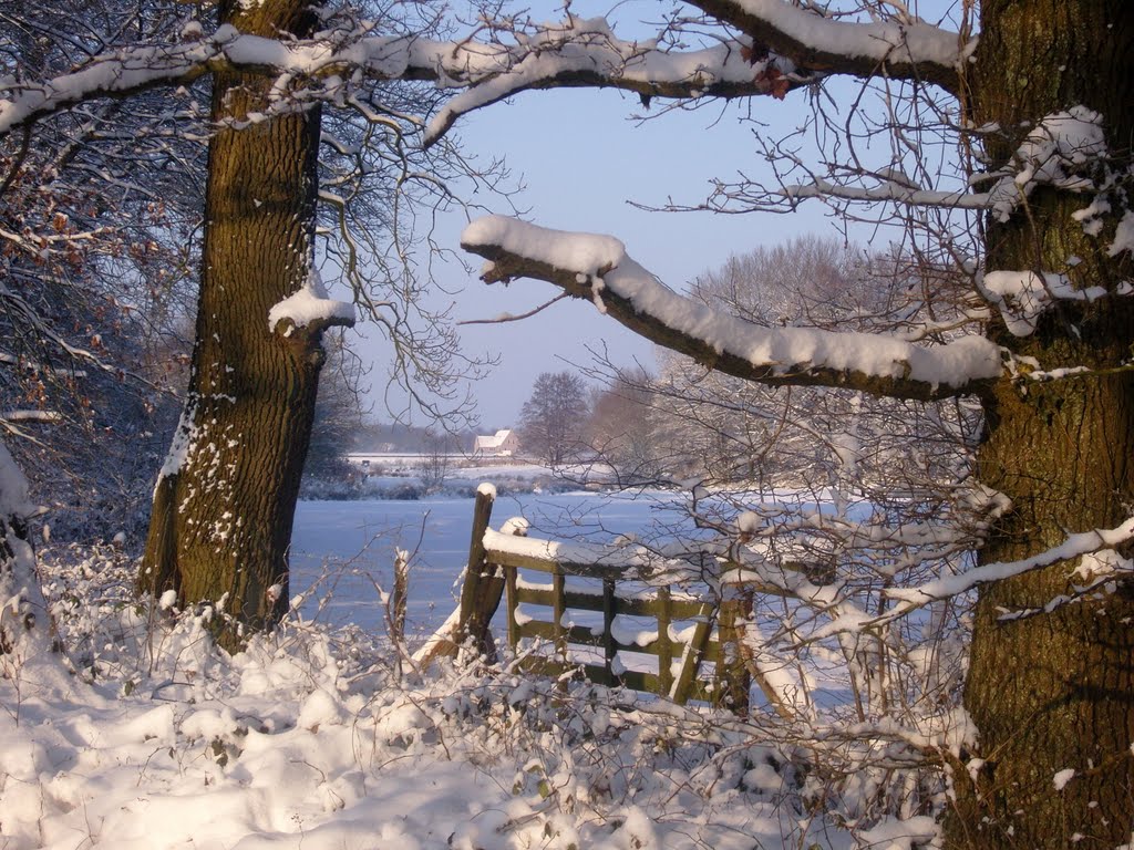 Smeerling, winter by Fokko Wijbenga