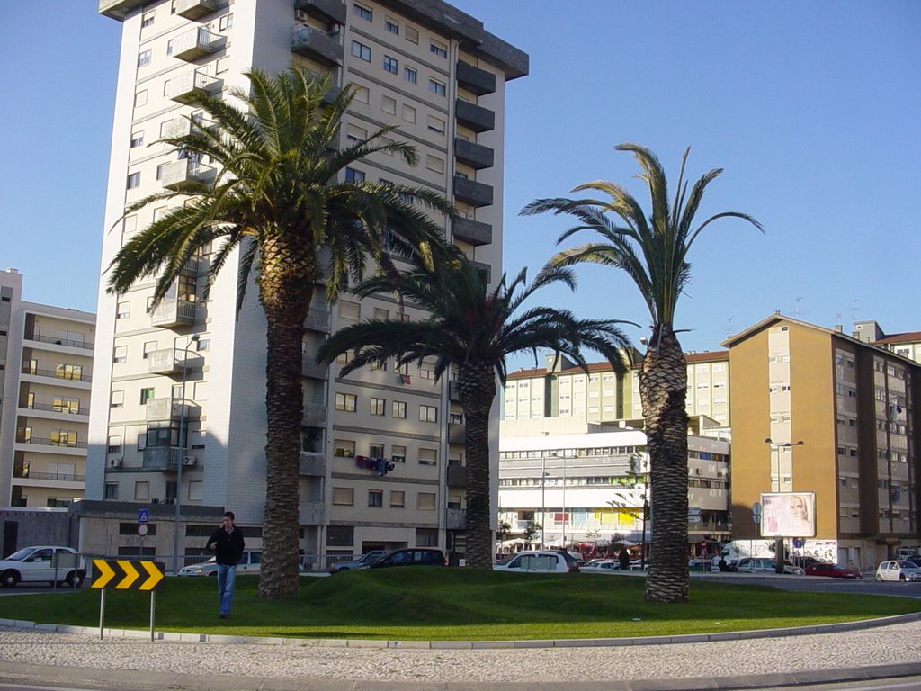 Rotunda J. Anjinho by FerMendez