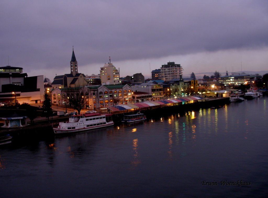 Valdivia vestida de sombras by Erwin Woenckhaus