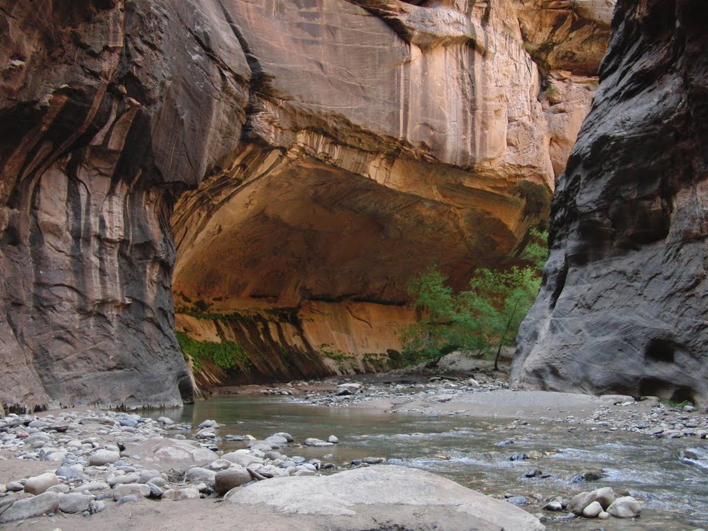 The Narrows, Zion National Park by bluebuerstel