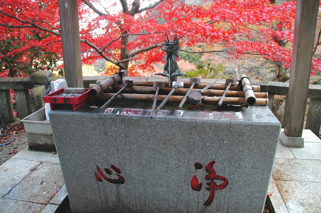 大山寺(Oyamadera Temple) by 9m2ji1etu