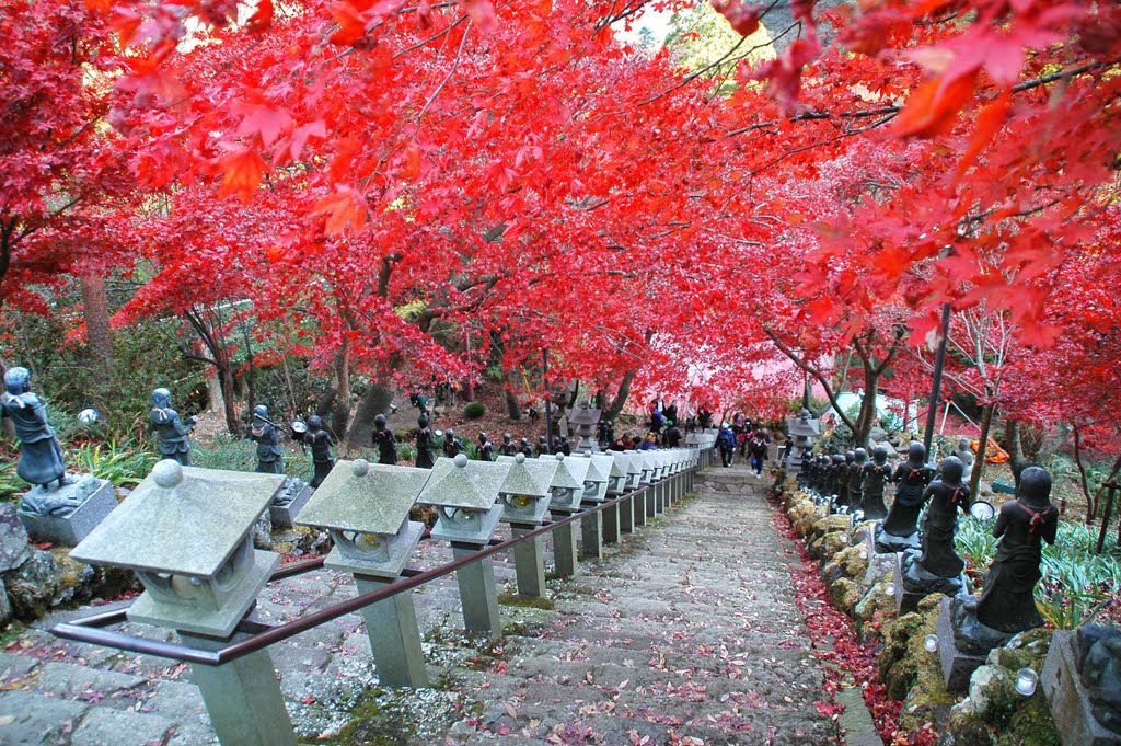 大山寺参道(Approach to Oyamadera Temple) by 9m2ji1etu