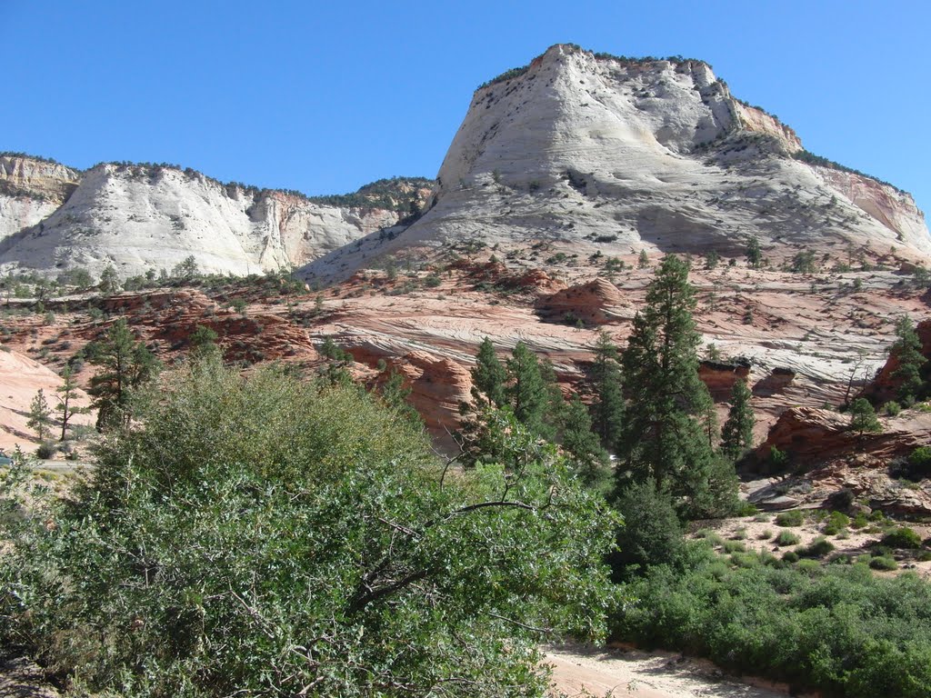 Zion Park Boulevard by bluebuerstel