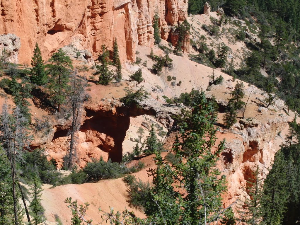 Farview Point, Bryce Canyon by bluebuerstel