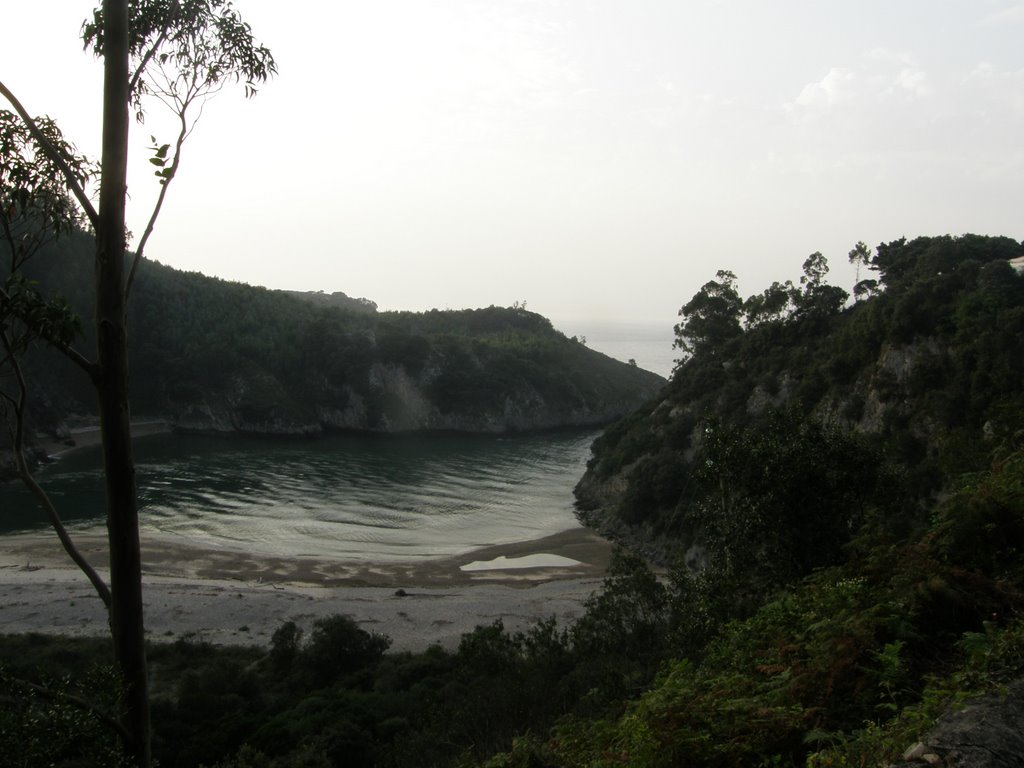 Playas de la ría by Luís Seixas