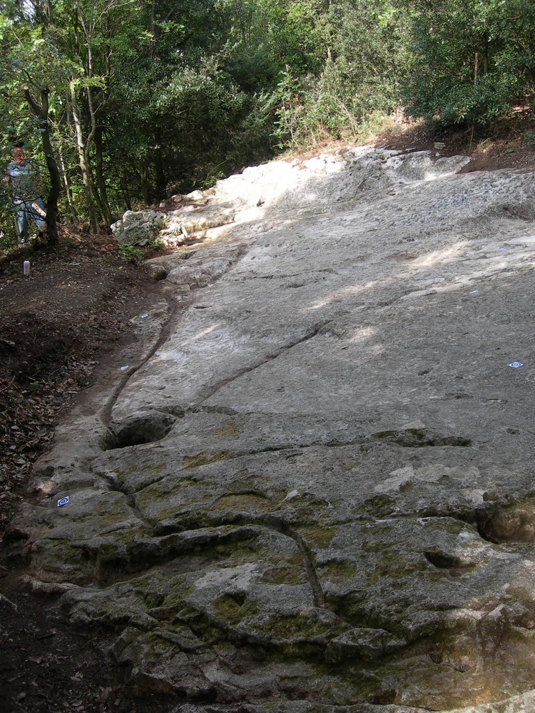 Ancona, Monte Conero, incisioni rupestri by gaiaebruno