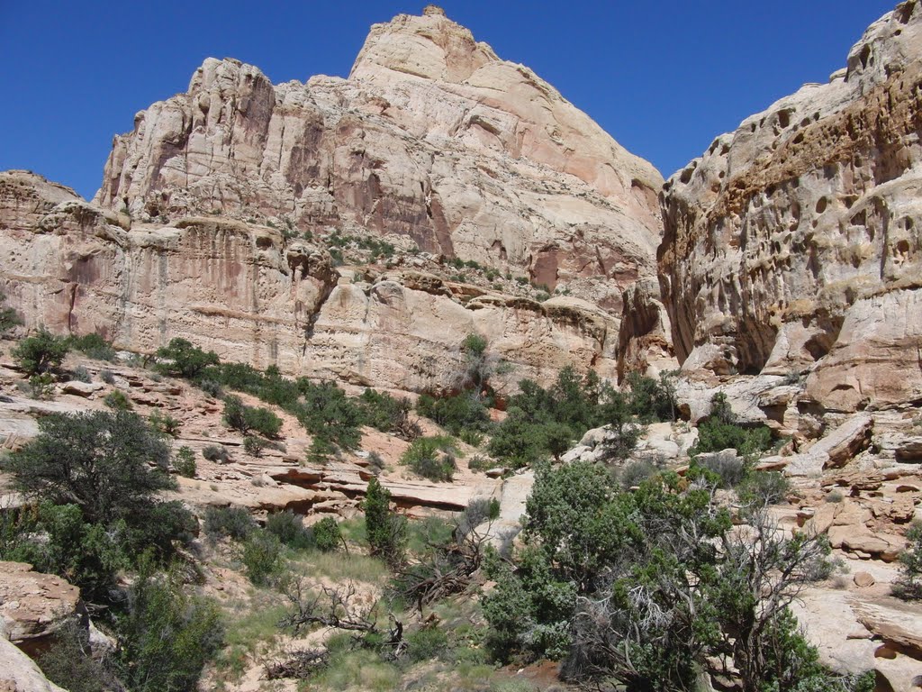 Capitol Reef by bluebuerstel